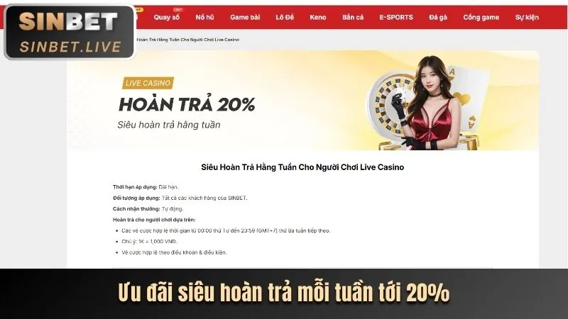 Săn cá lớn, cá nhỏ hợp lý